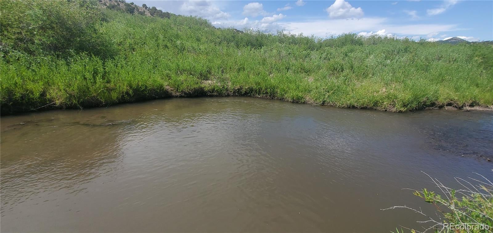 Photo of Listing #3582583