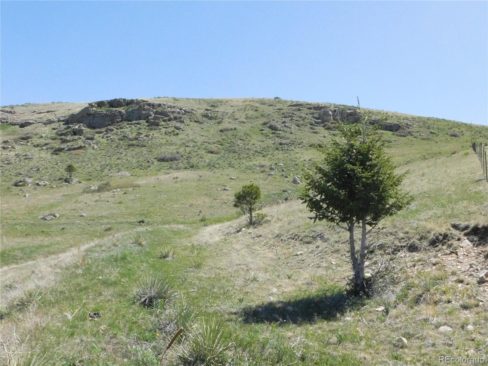 Photo of Listing #3582984