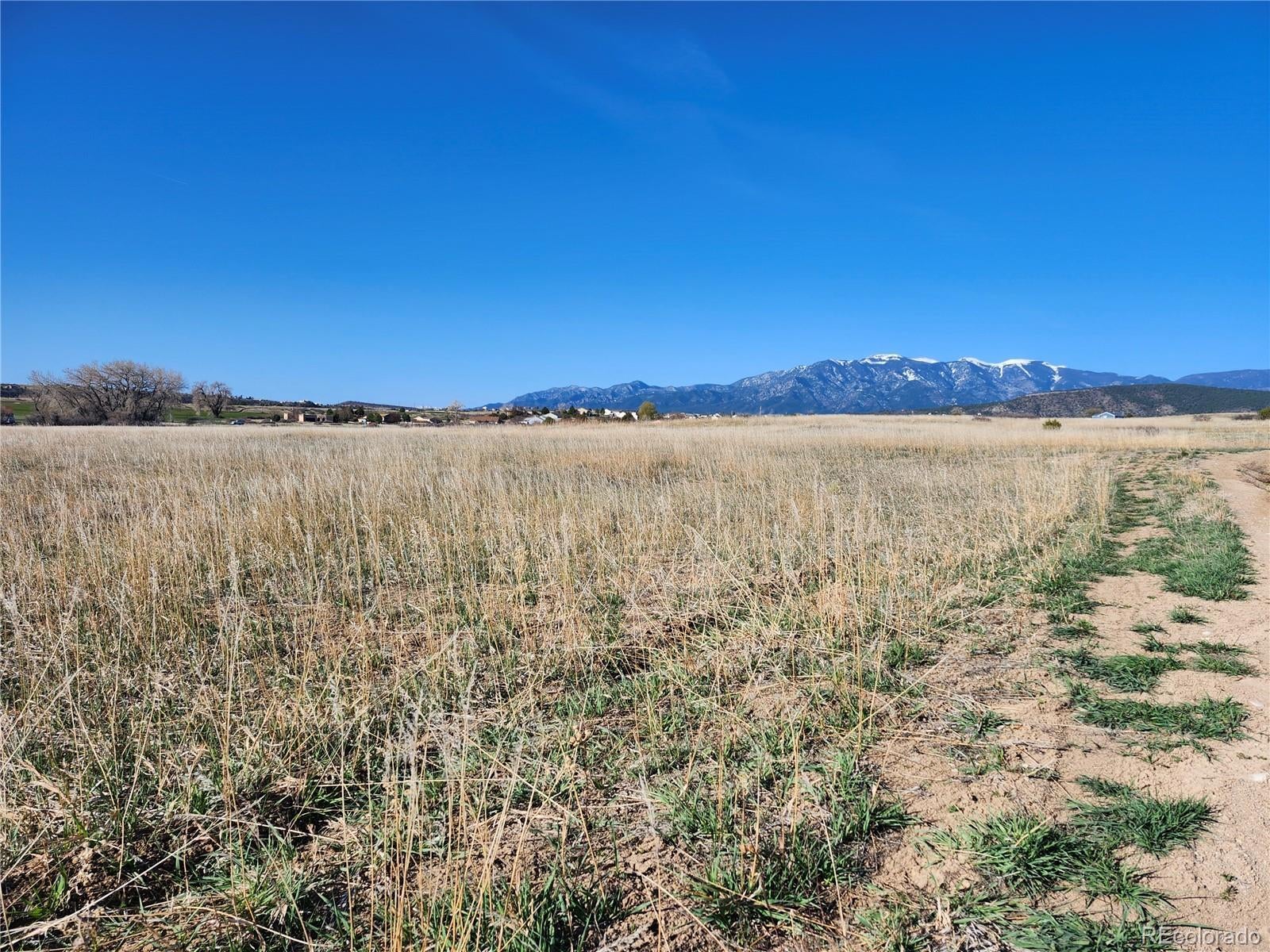 Photo of Listing #3600967