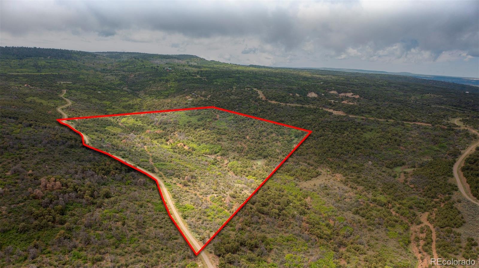 Photo of Listing #3602104