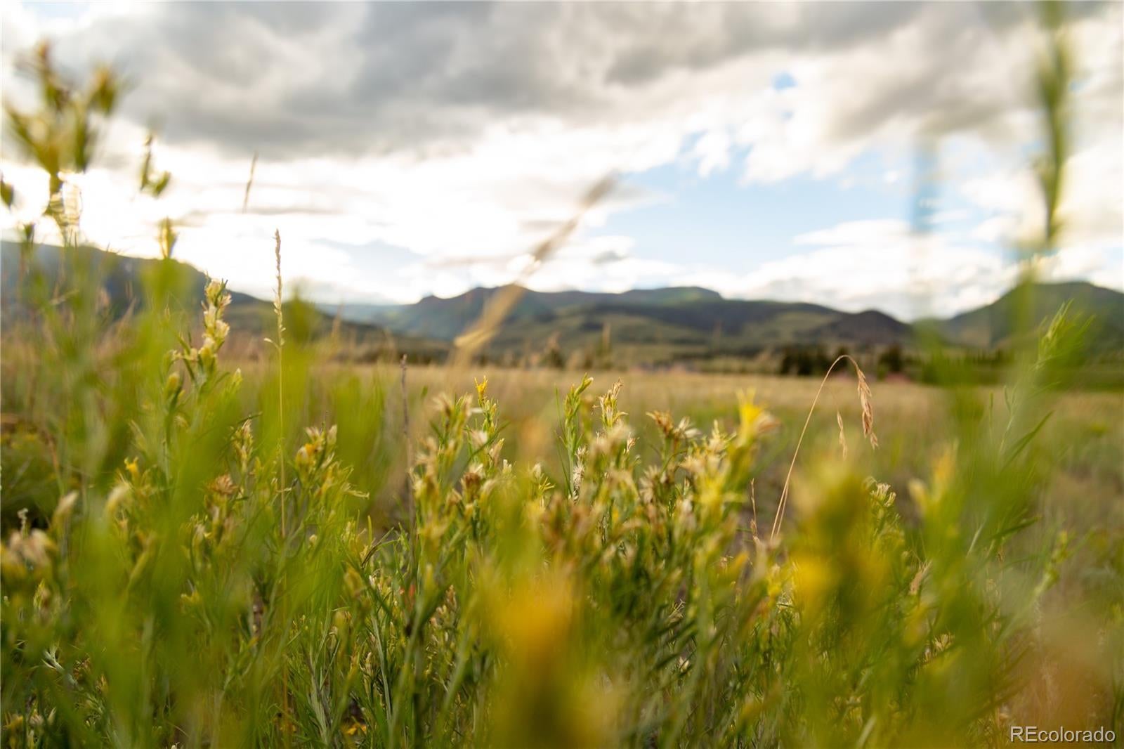 Photo of Listing #3604925