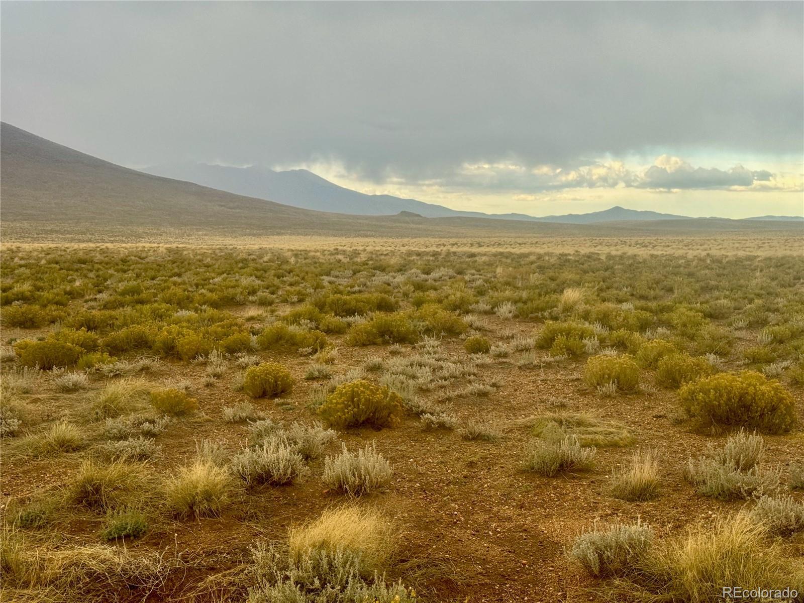 Photo of Listing #3641529