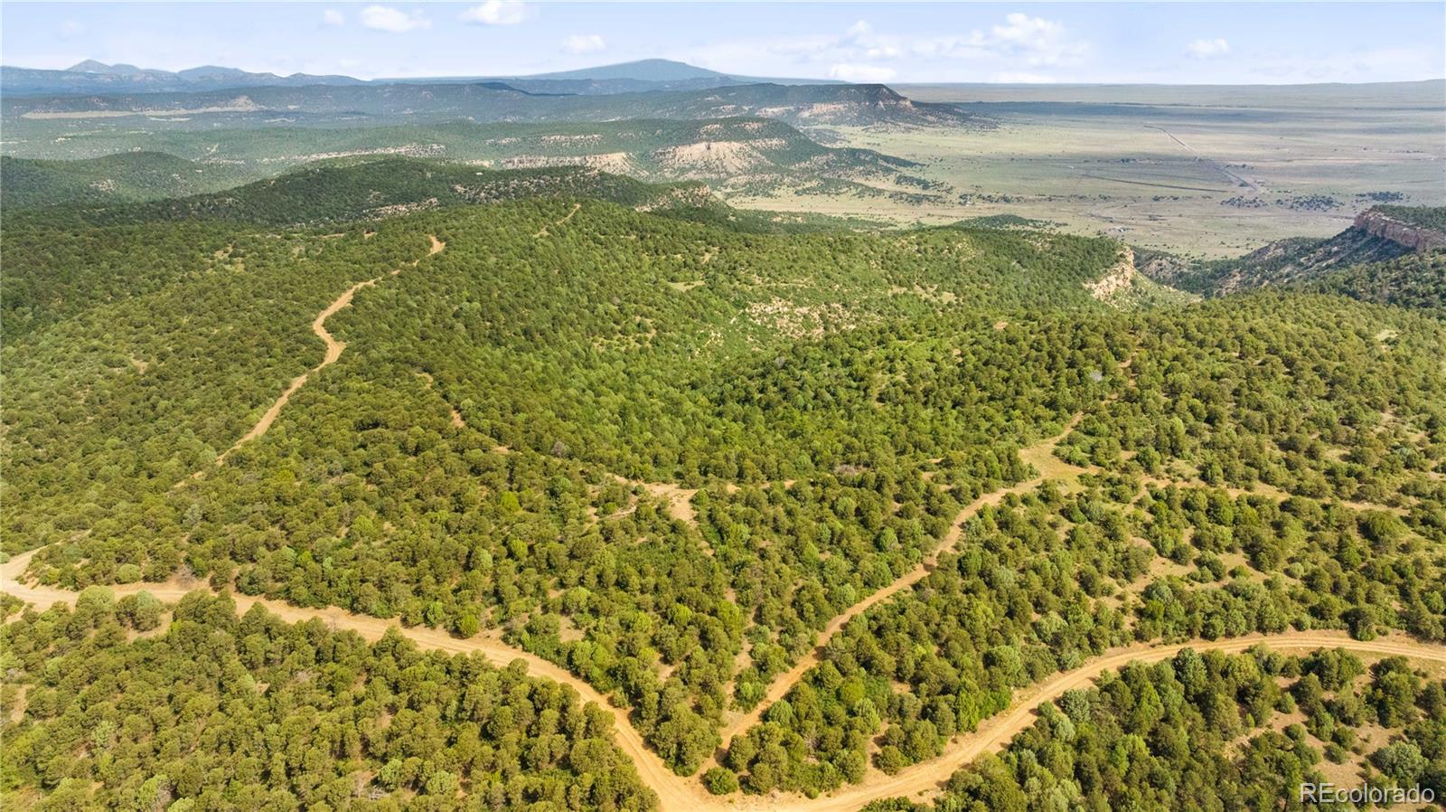 Photo of Listing #3689638