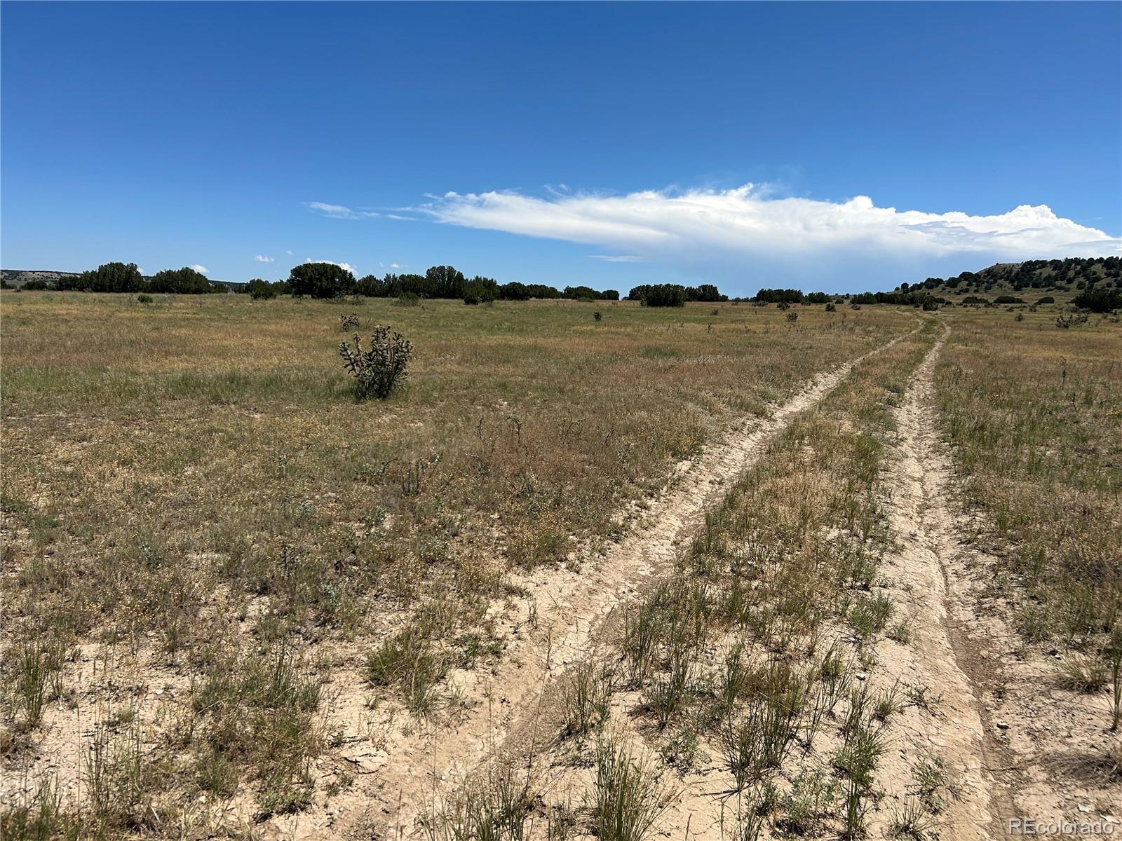 Photo of Listing #3691274