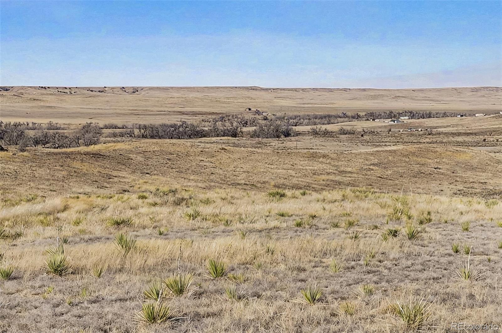 Photo of Listing #3734601