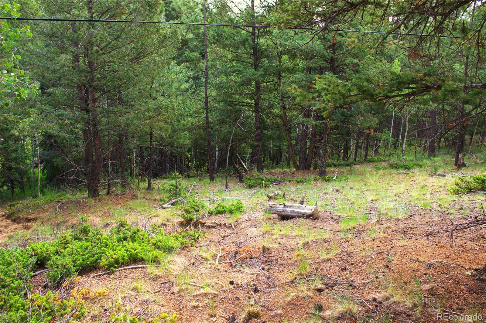 Photo of Listing #3775293