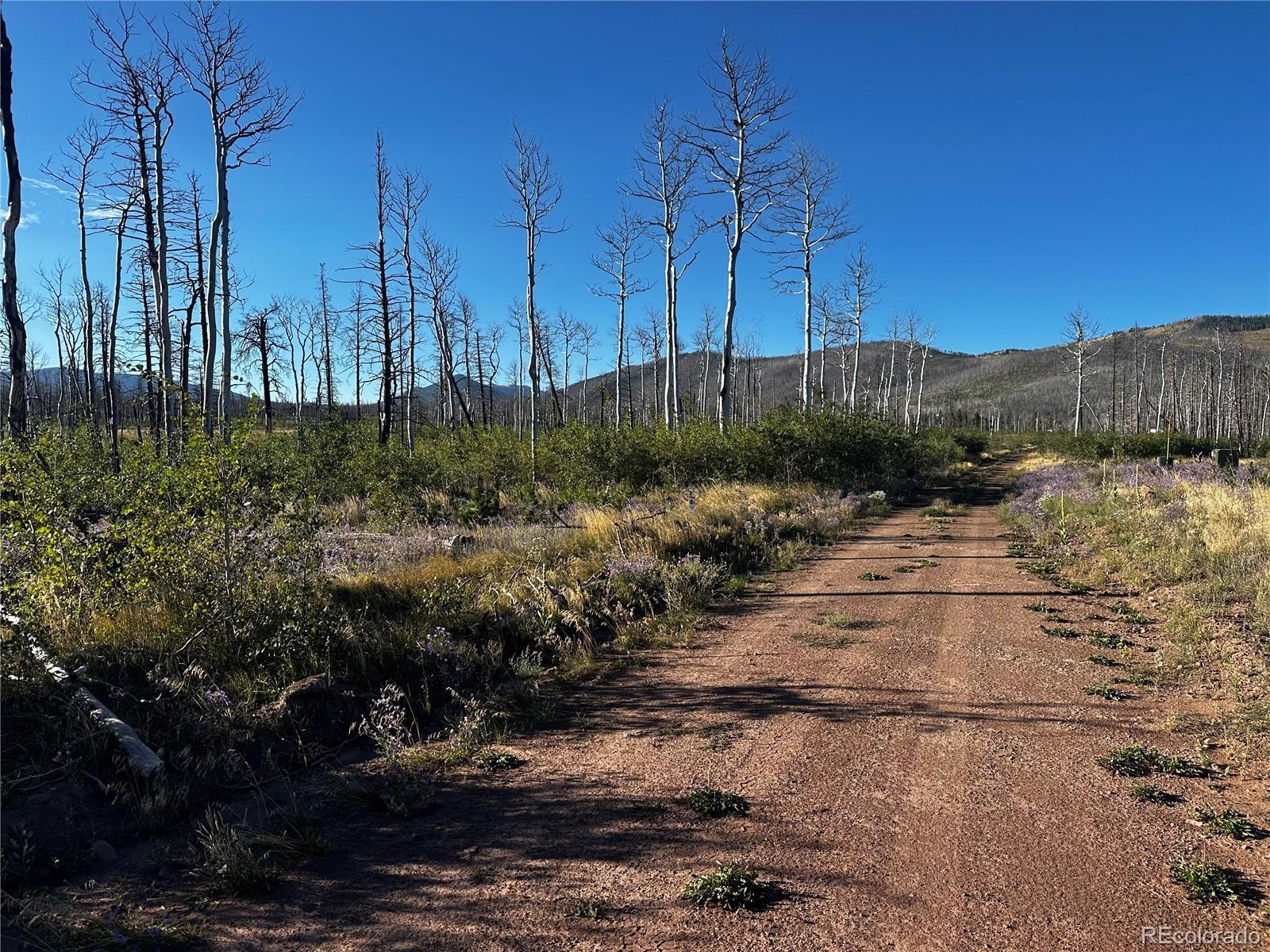 Photo of Listing #3782734