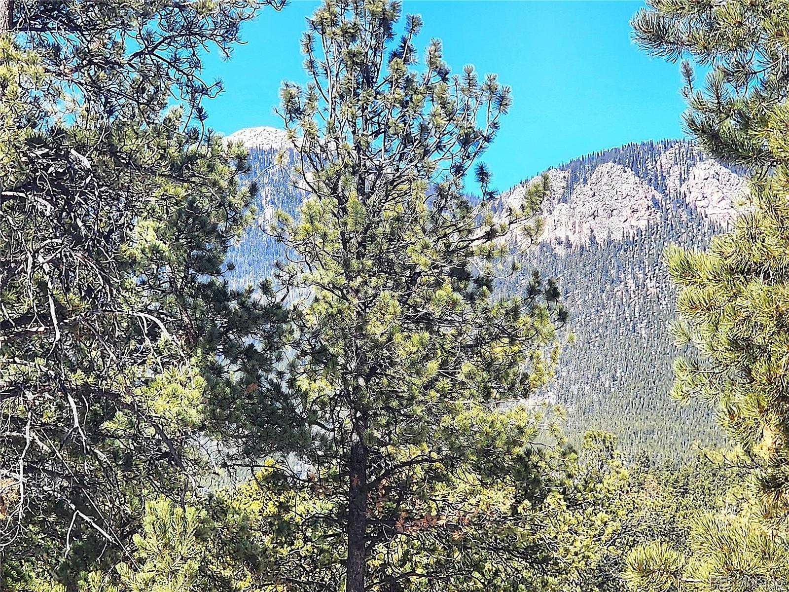 Photo of Listing #3870944