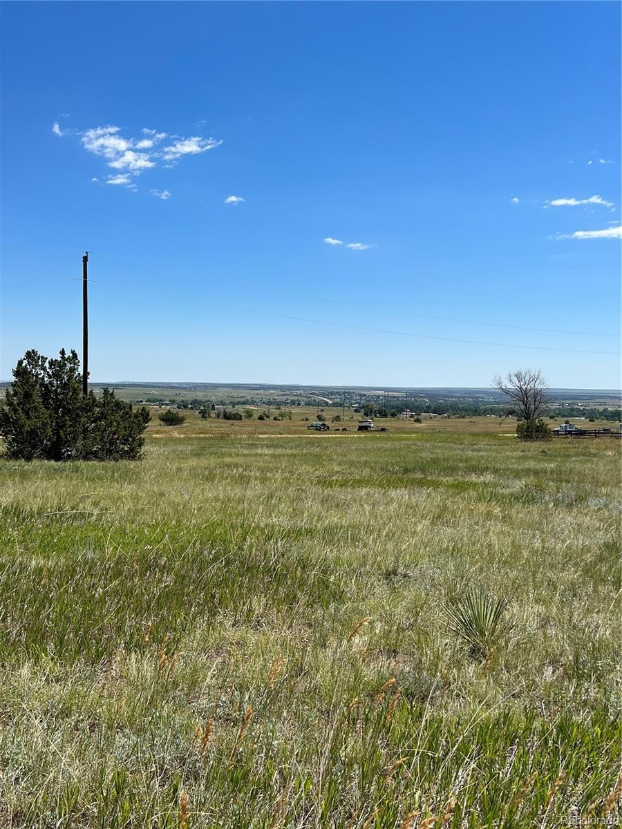 Photo of Listing #3872503