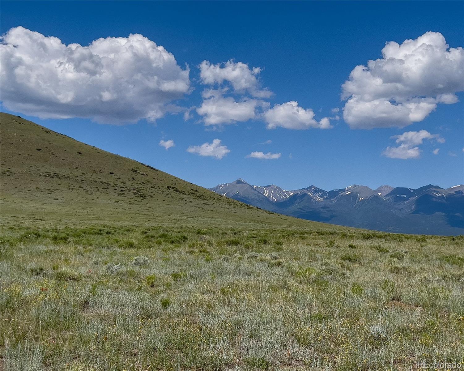 Photo of Listing #3909230