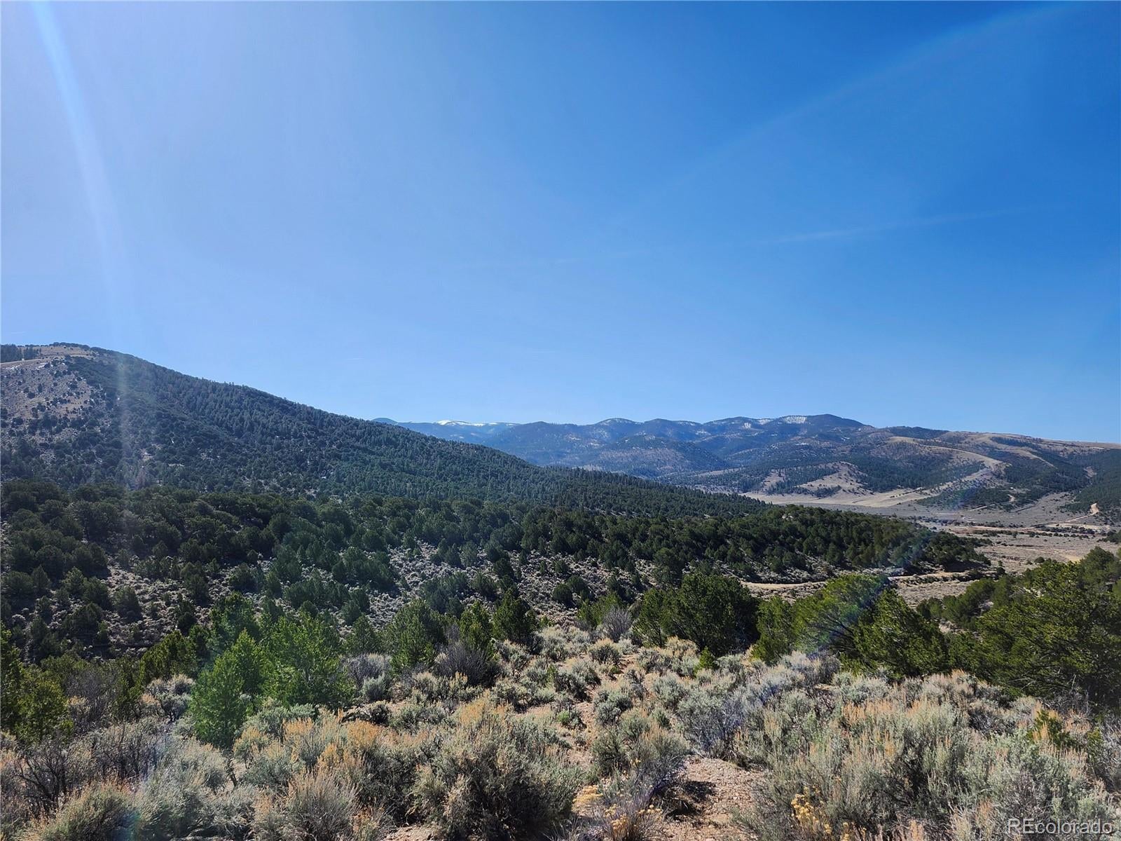 Photo of Listing #3918880