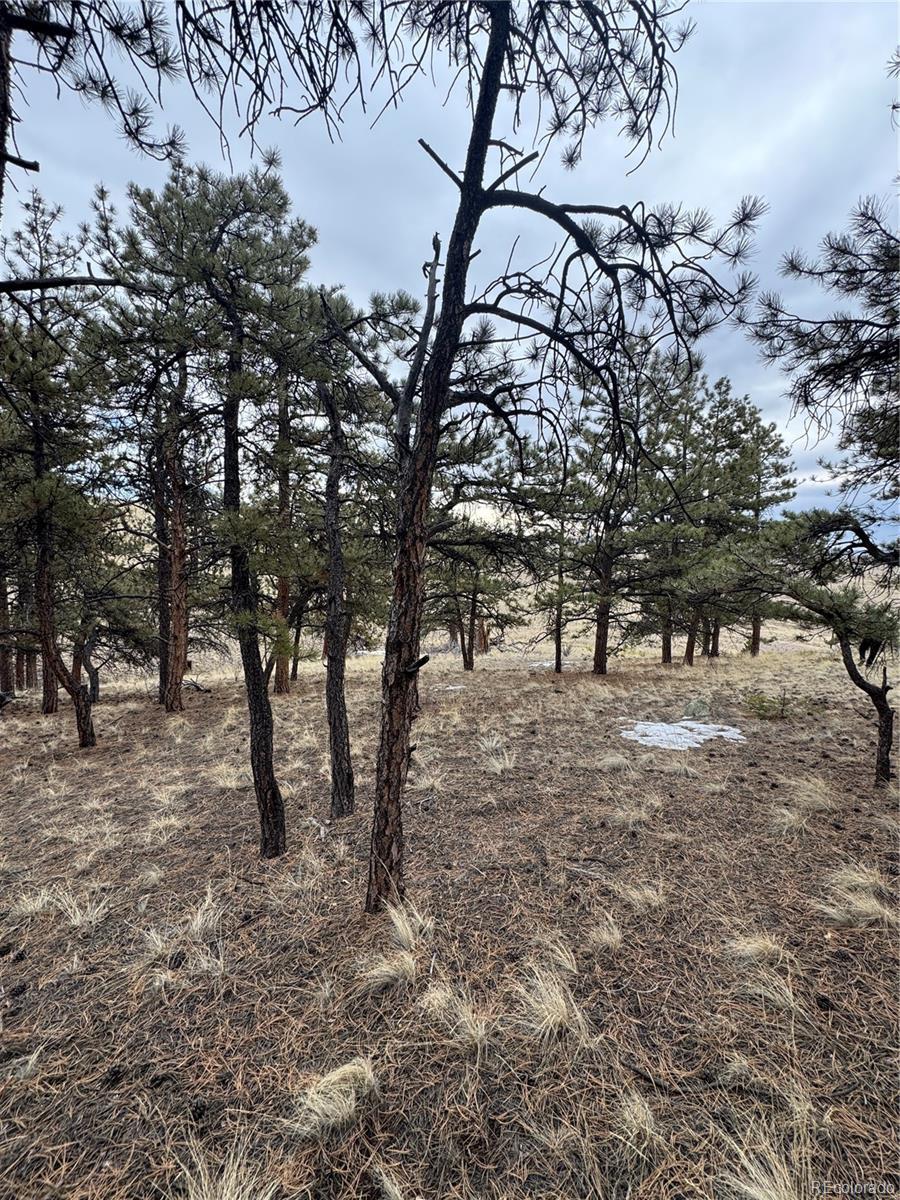 Photo of Listing #3923448