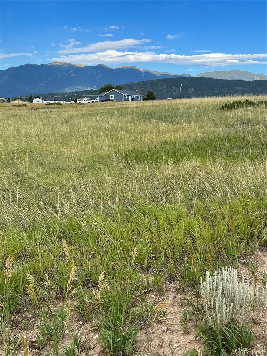 Photo of Listing #3961911