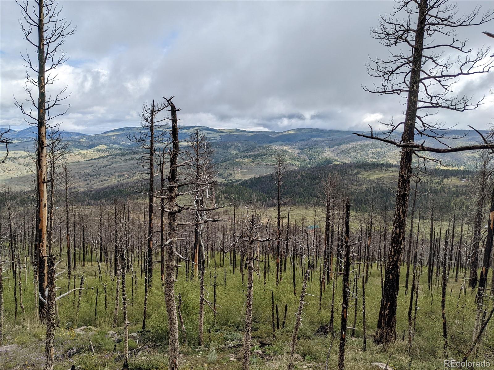 Photo of Listing #3975575