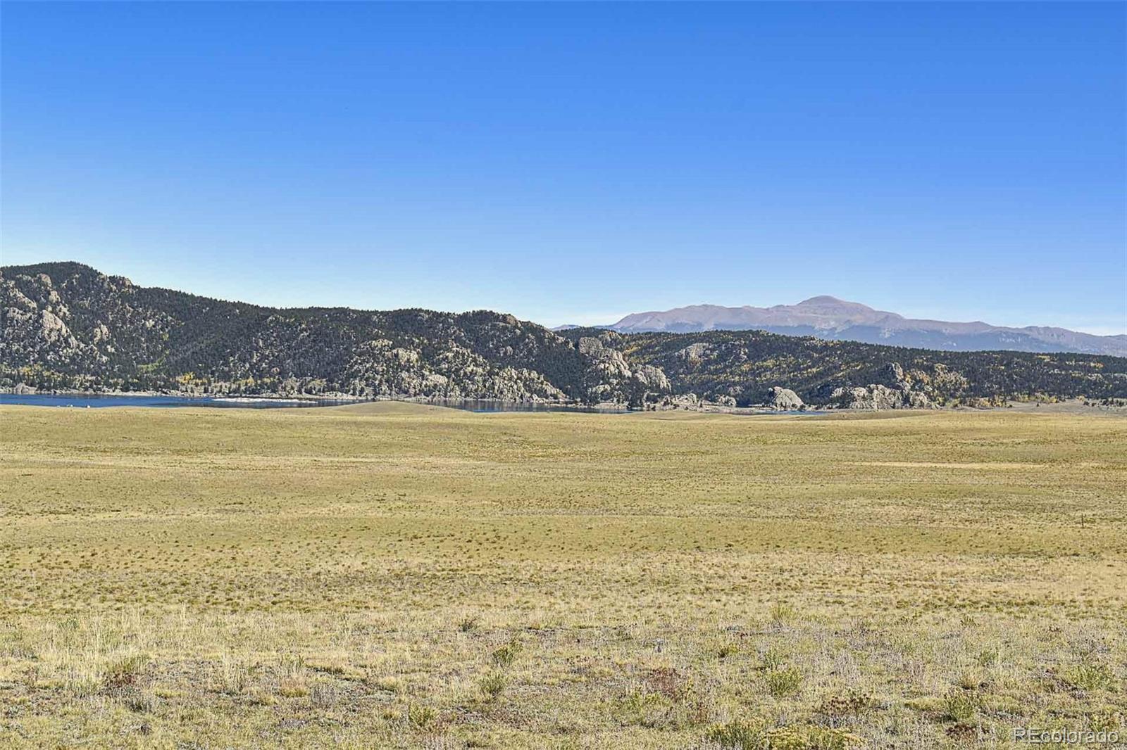 Photo of Listing #3976252