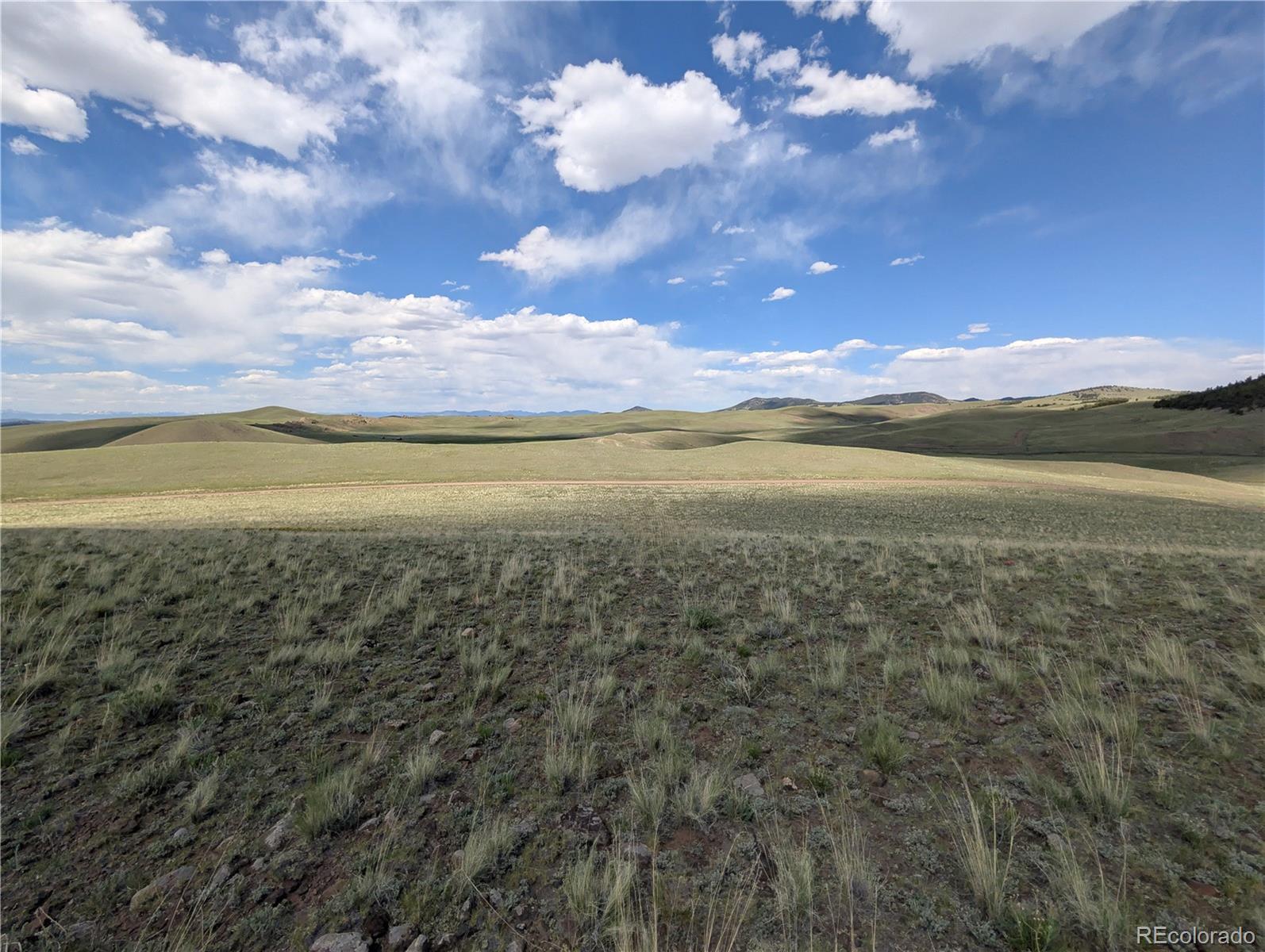 Photo of Listing #3980891