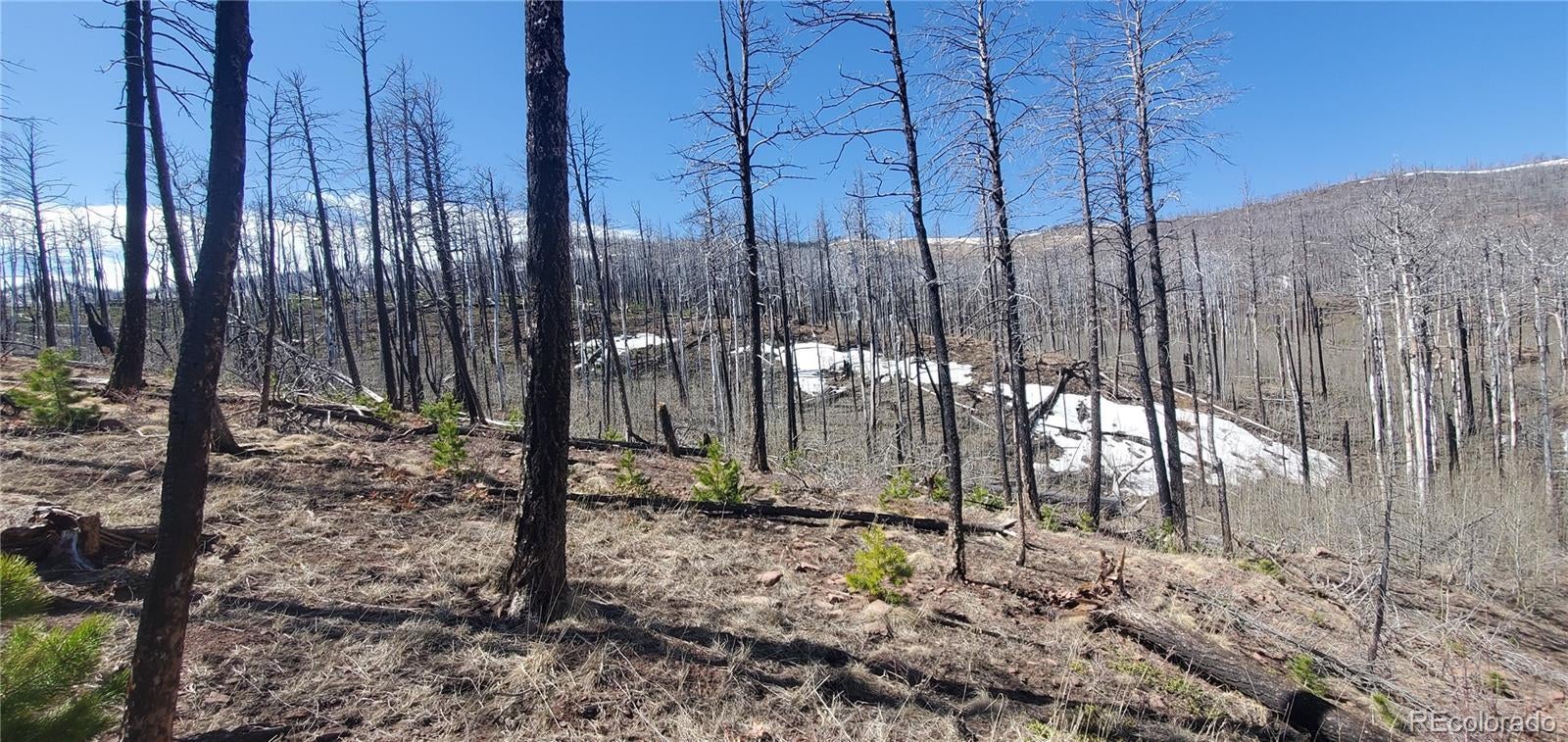 Photo of Listing #4010136