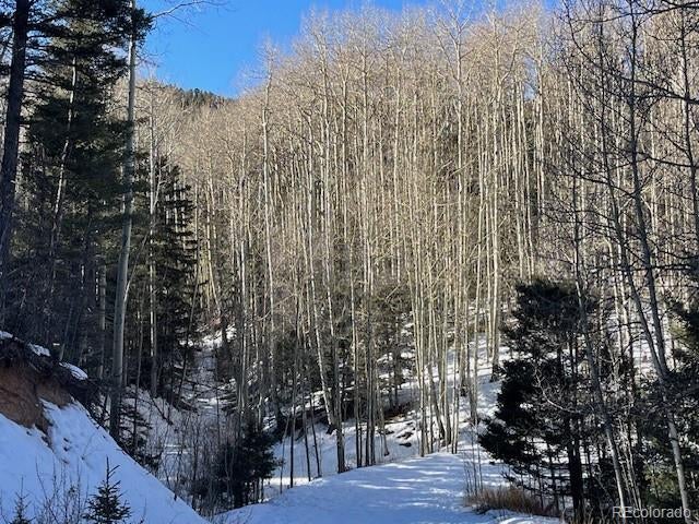 Photo of Listing #4013016