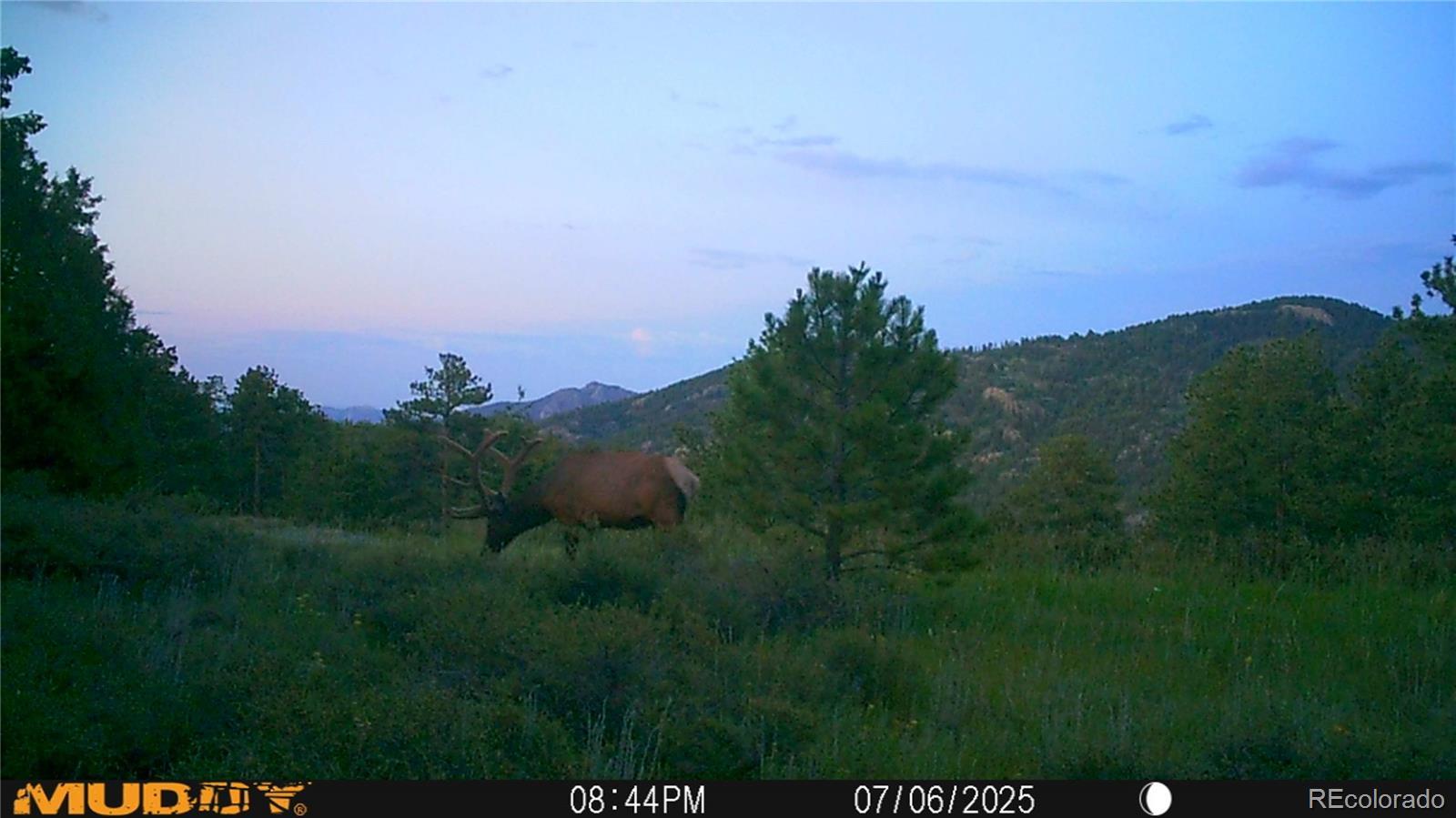 Photo of Listing #4020584