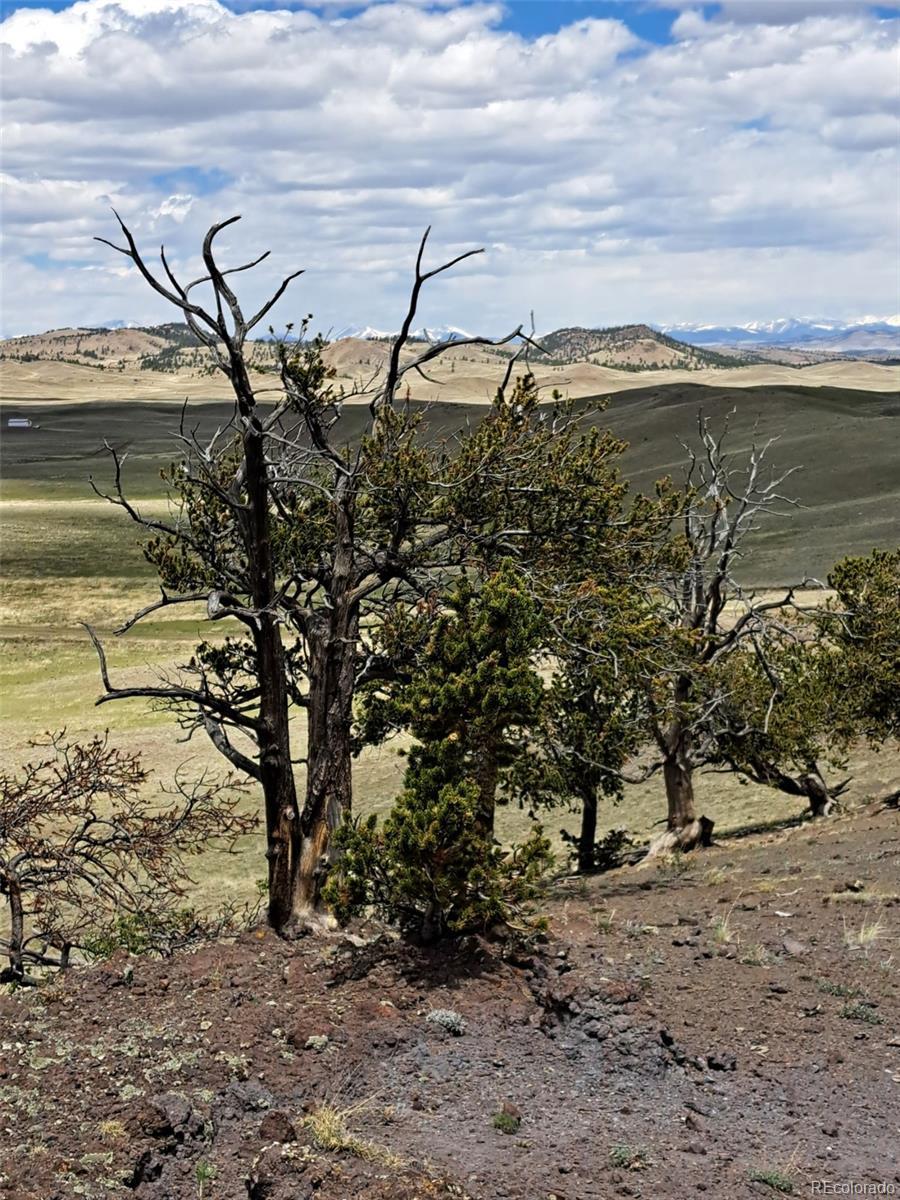 Photo of Listing #4031977