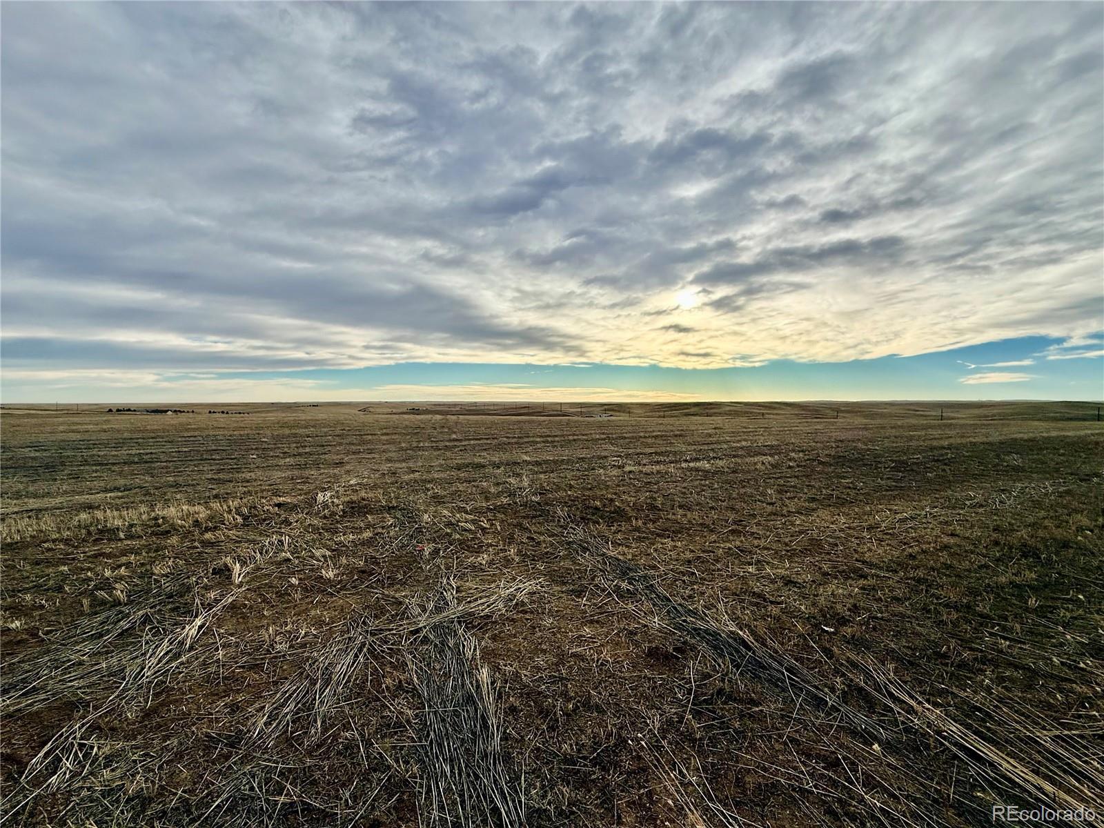 Photo of Listing #4097335