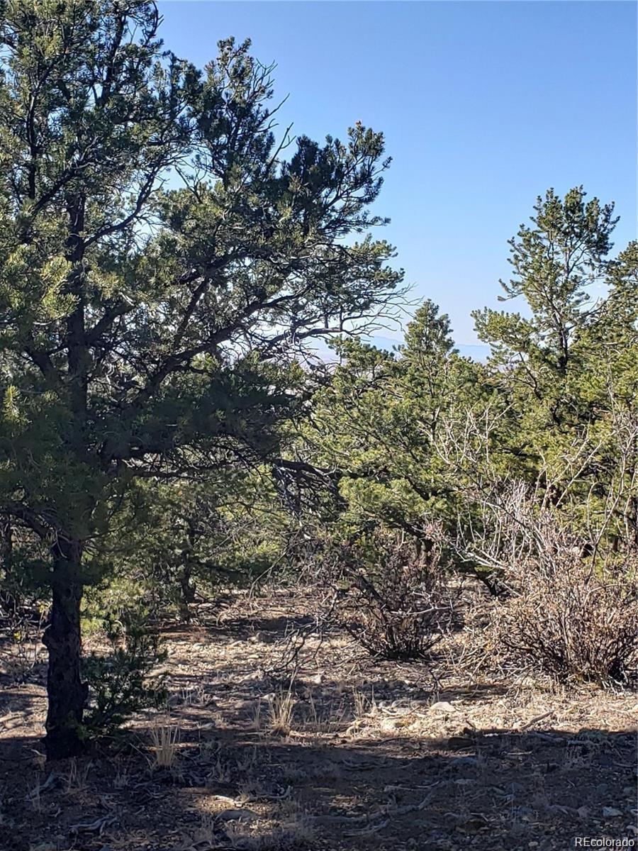 Photo of Listing #4107900