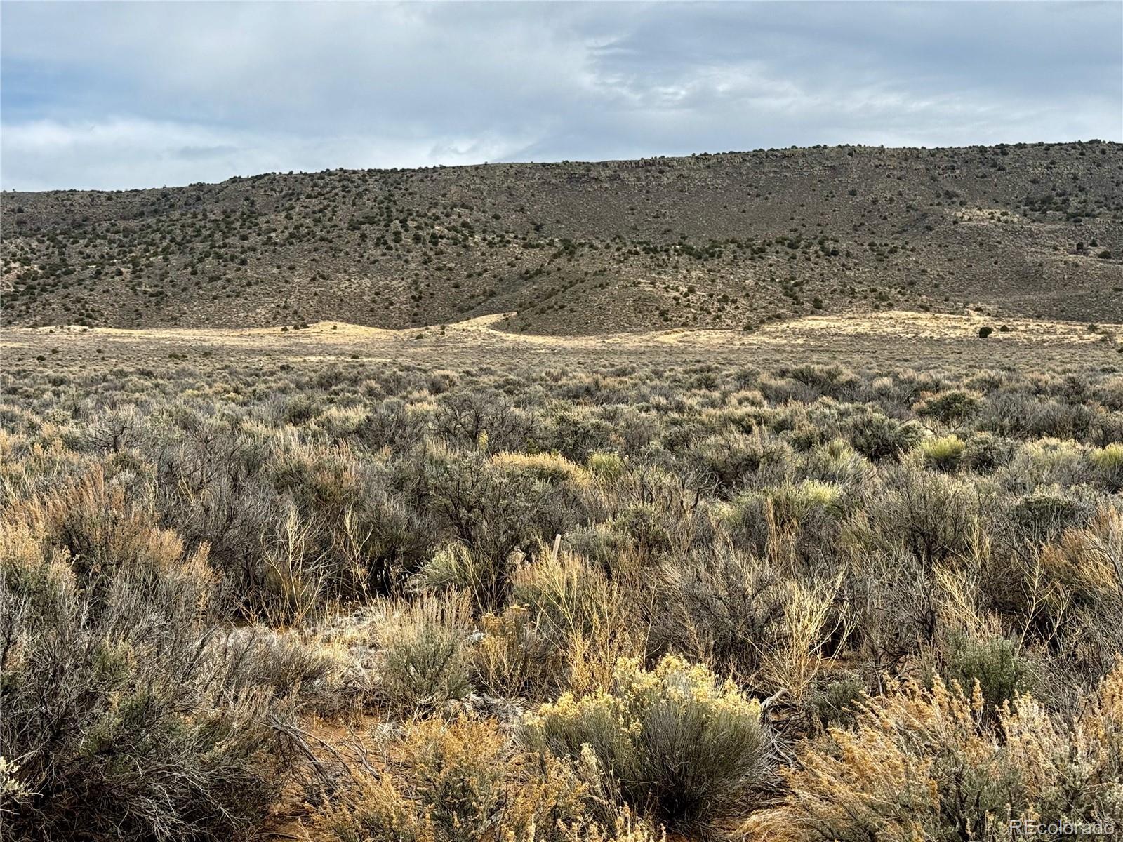 Photo of Listing #4123063