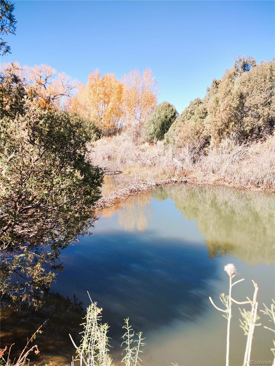 Photo of Listing #4127531