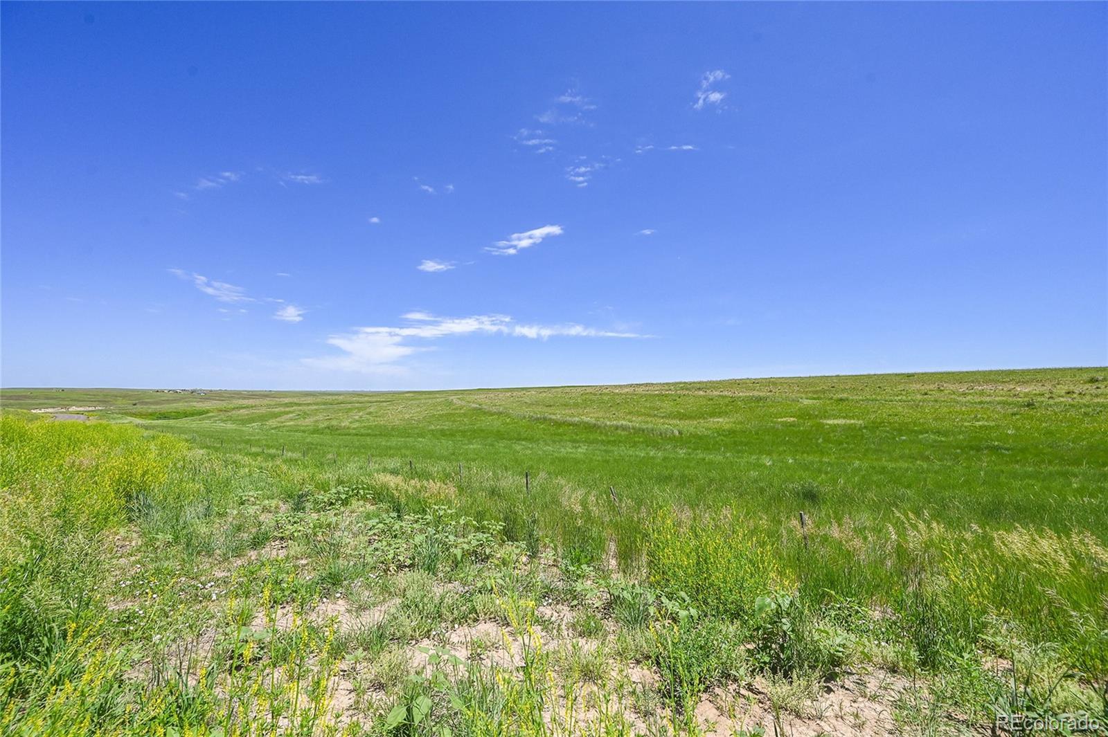 Photo of Listing #4221010