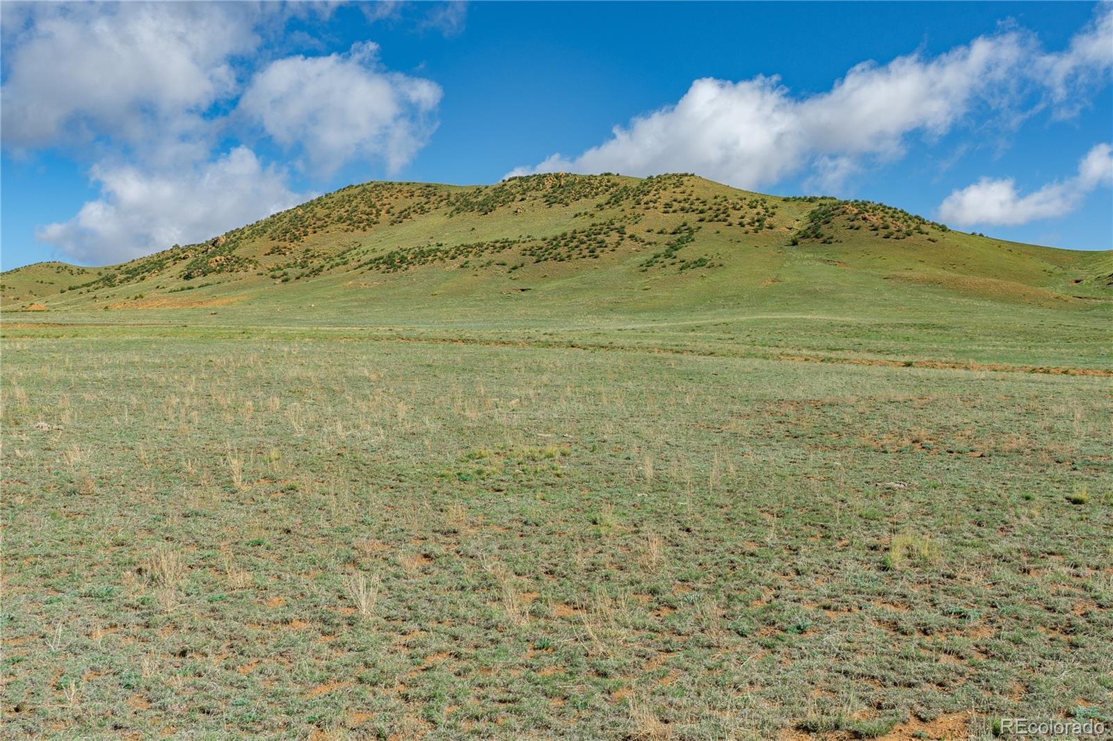 Photo of Listing #4250384