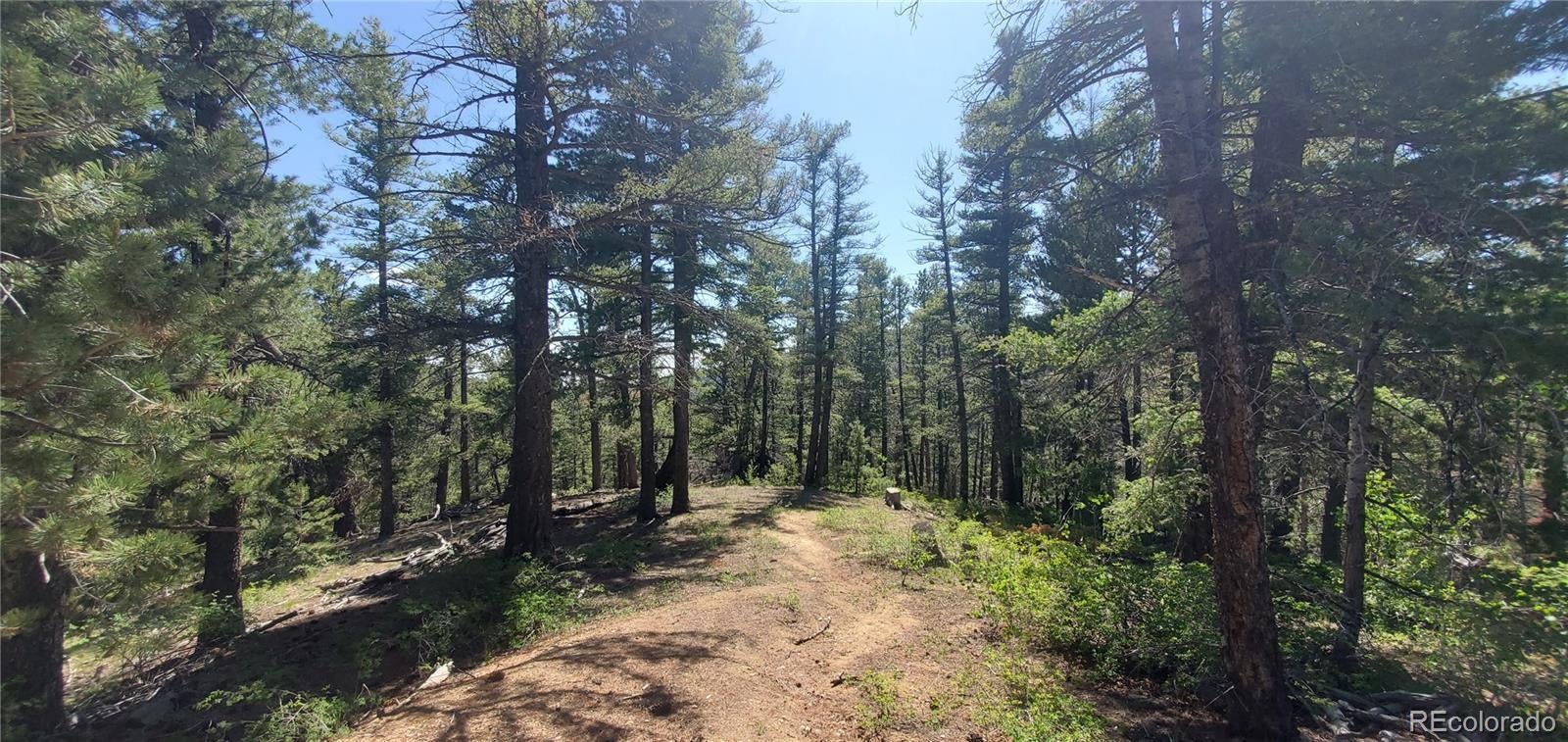 Photo of Listing #4260714