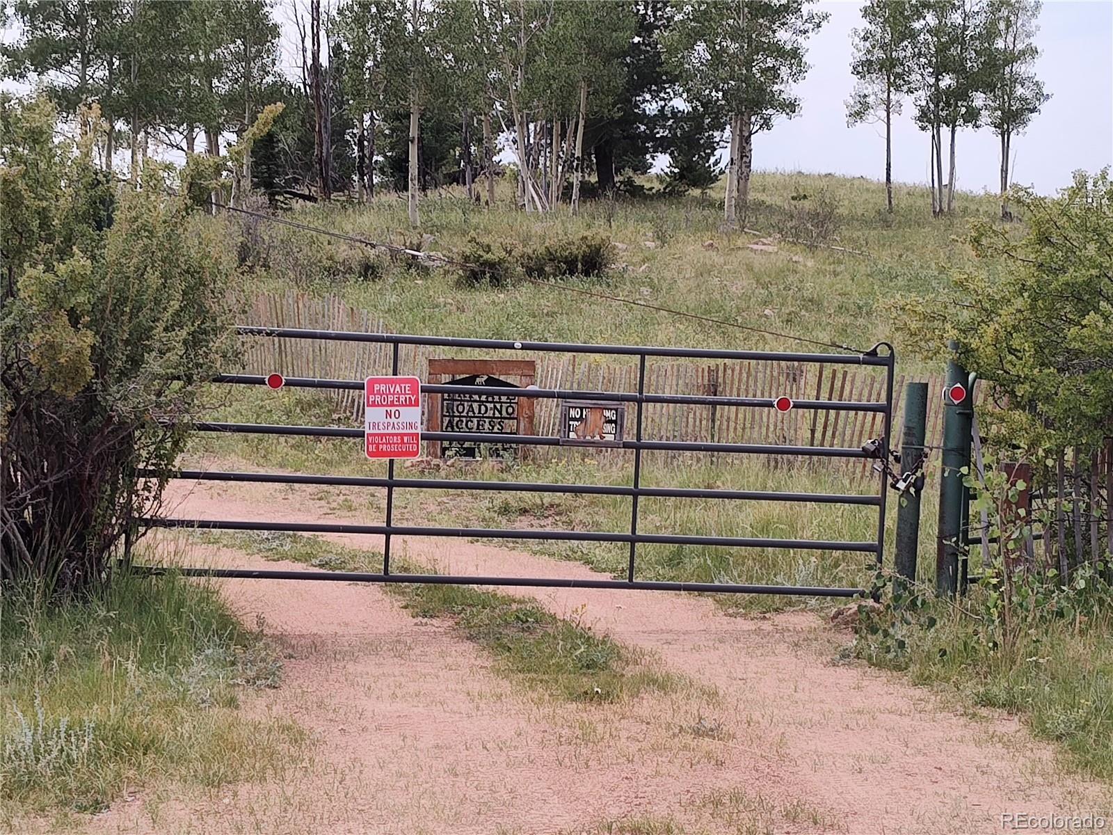 Photo of Listing #4262632