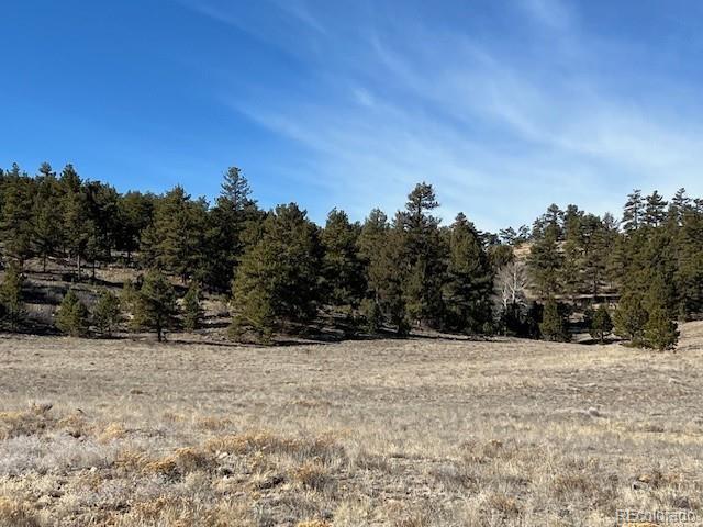 Photo of Listing #4302921