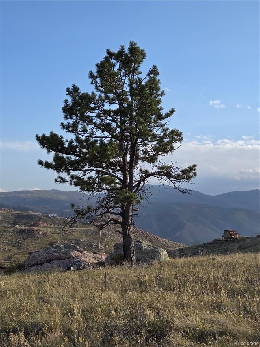 Photo of Listing #4337660