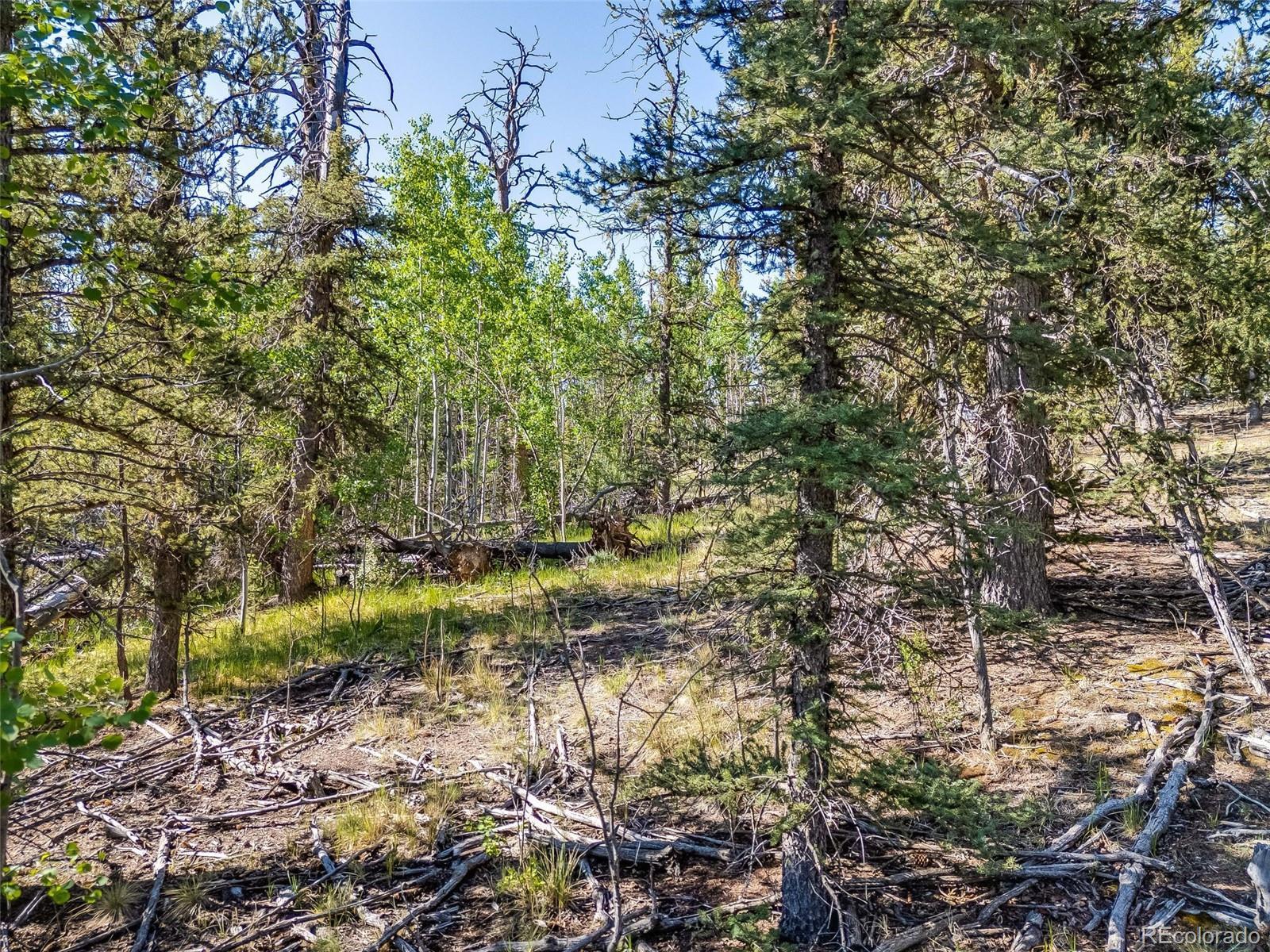 Photo of Listing #4351967