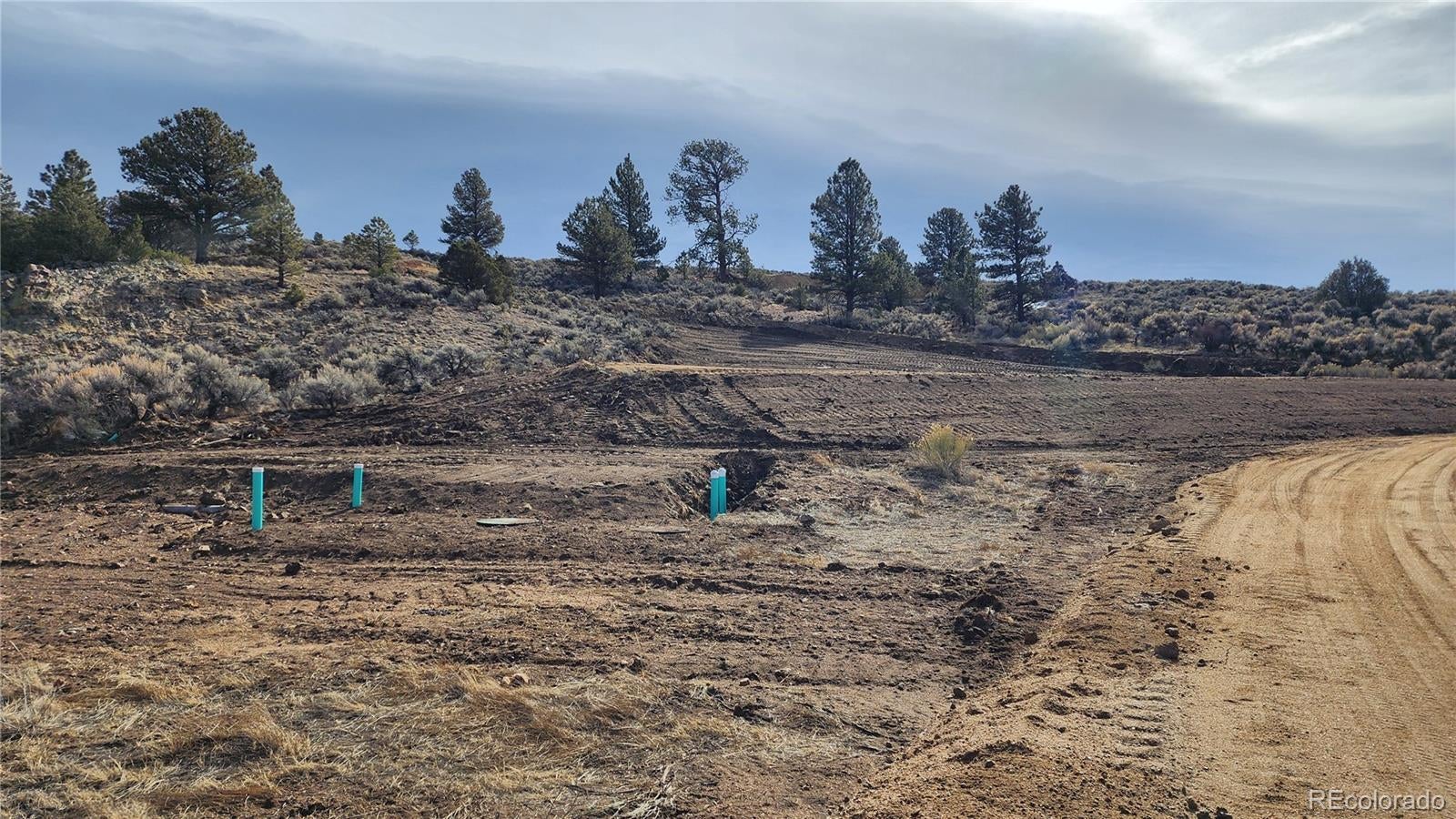 Photo of Listing #4461112