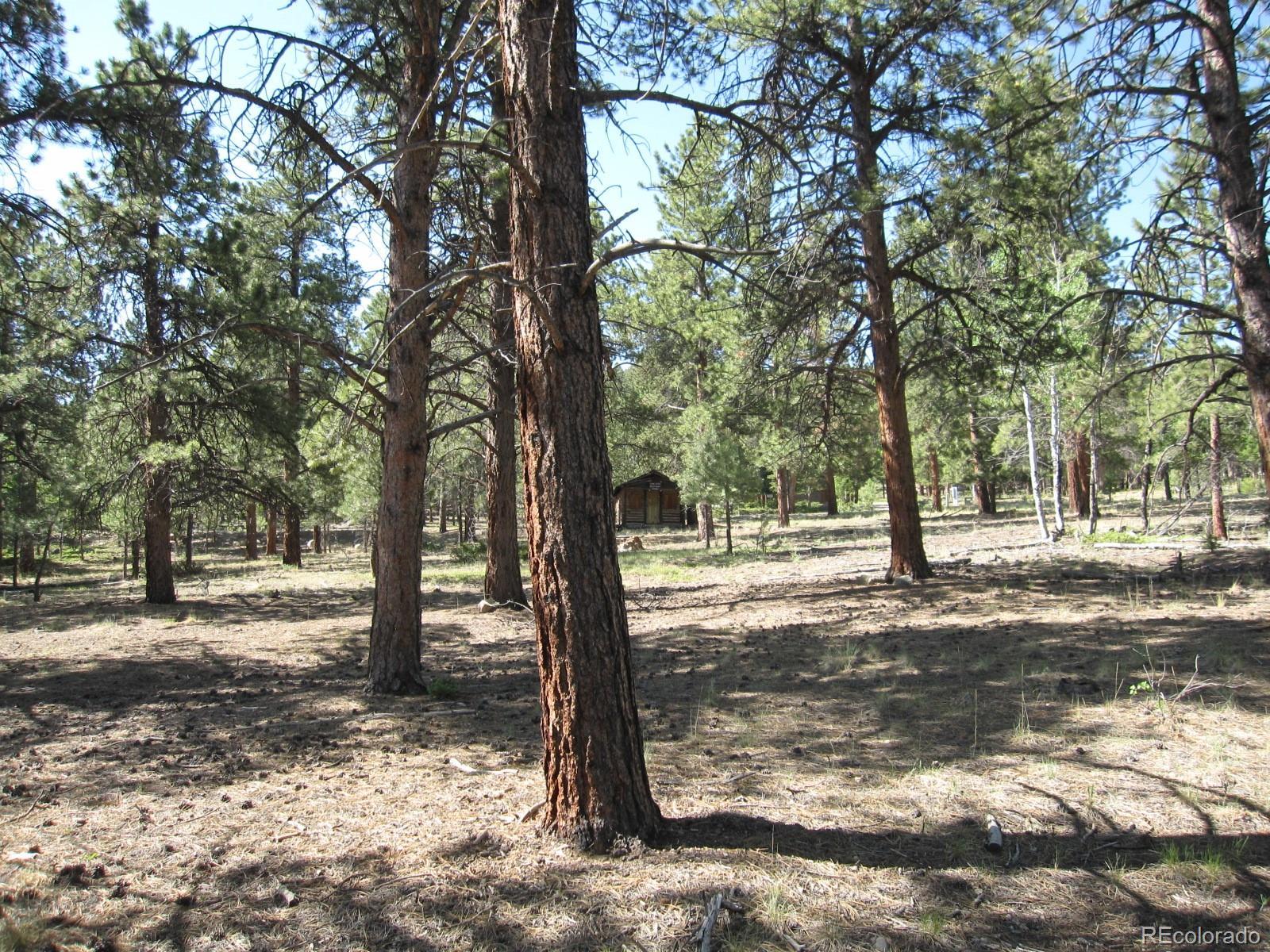 Photo of Listing #4483170