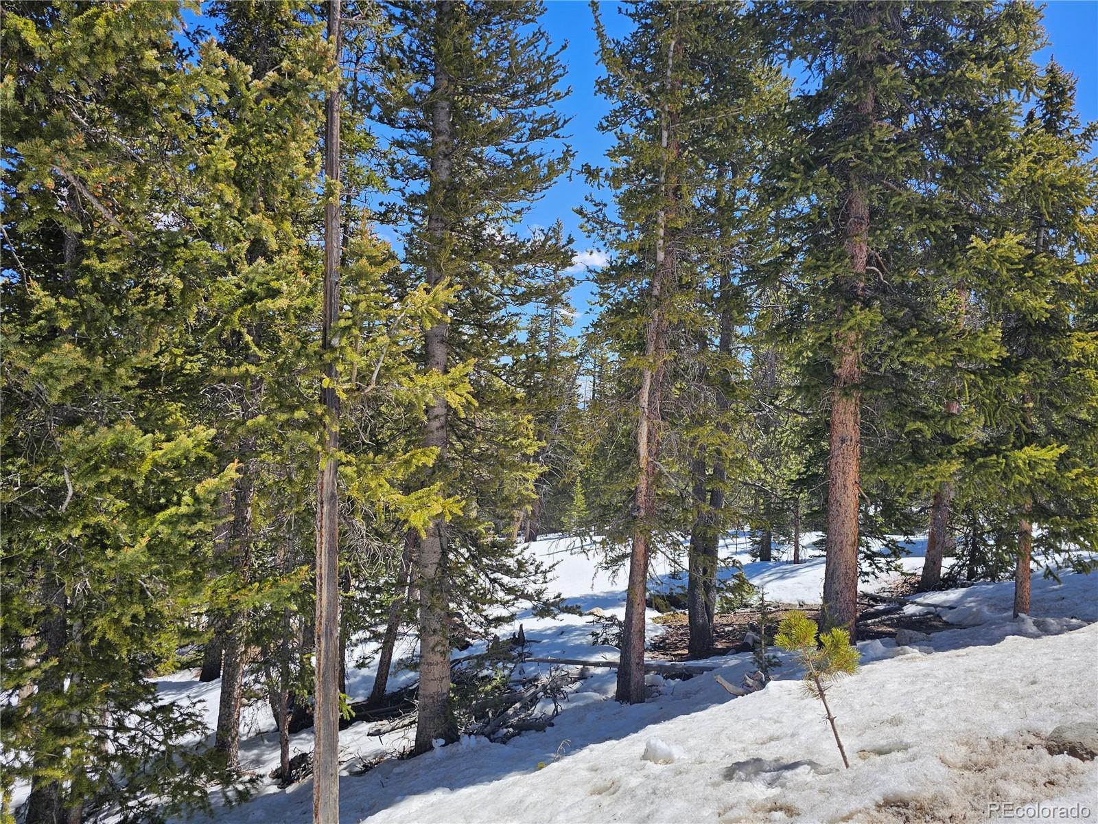 Photo of Listing #4490304