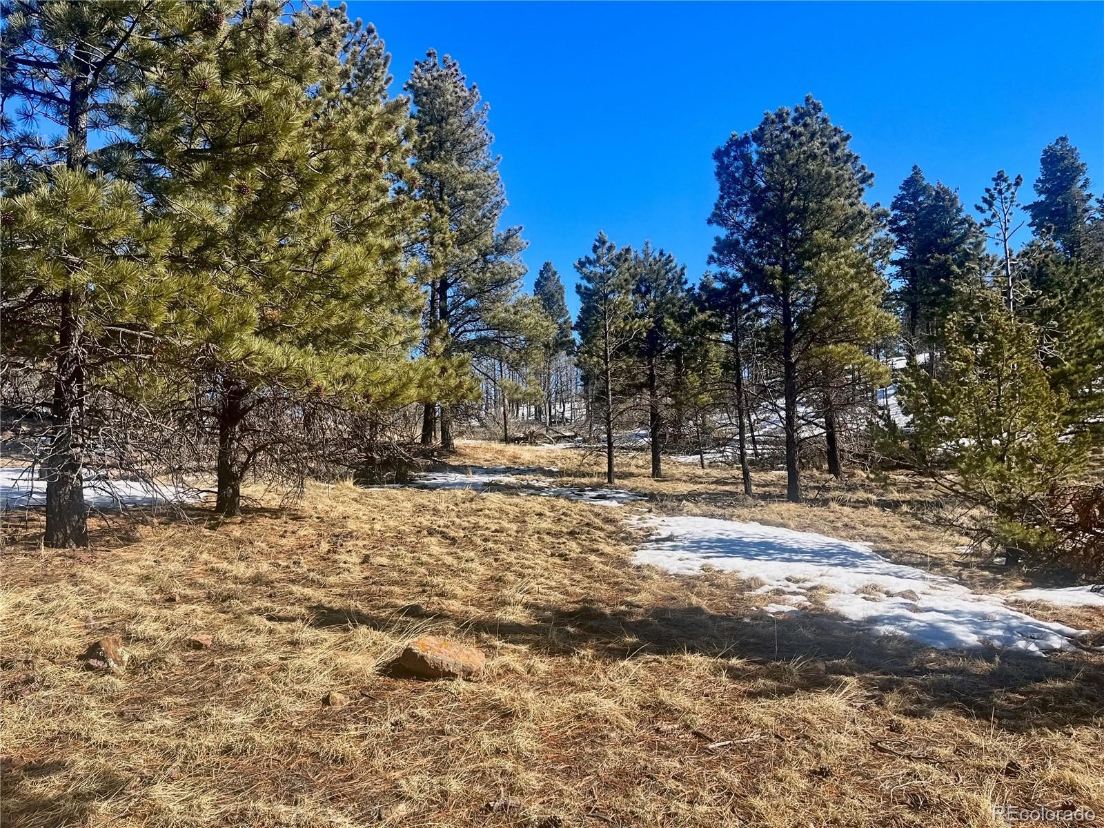 Photo of Listing #4515422