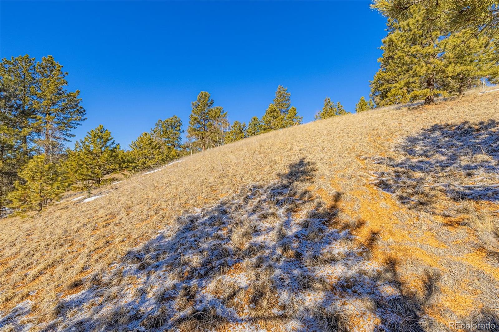 Photo of Listing #4545522