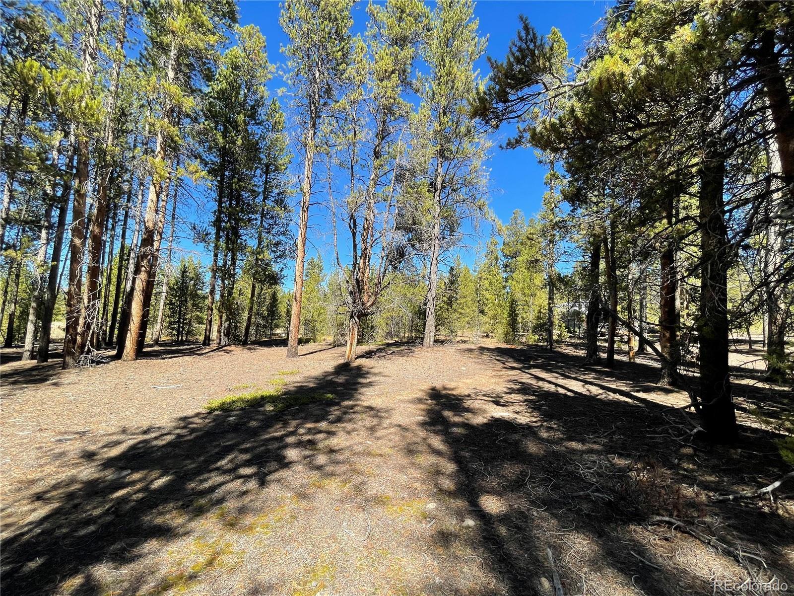 Photo of Listing #4571520