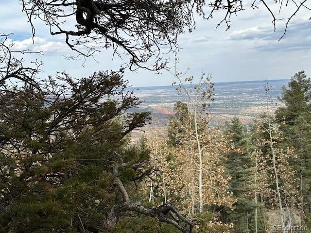 Photo of Listing #4598166