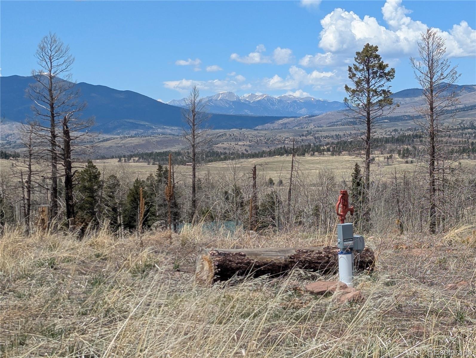 Photo of Listing #4639969