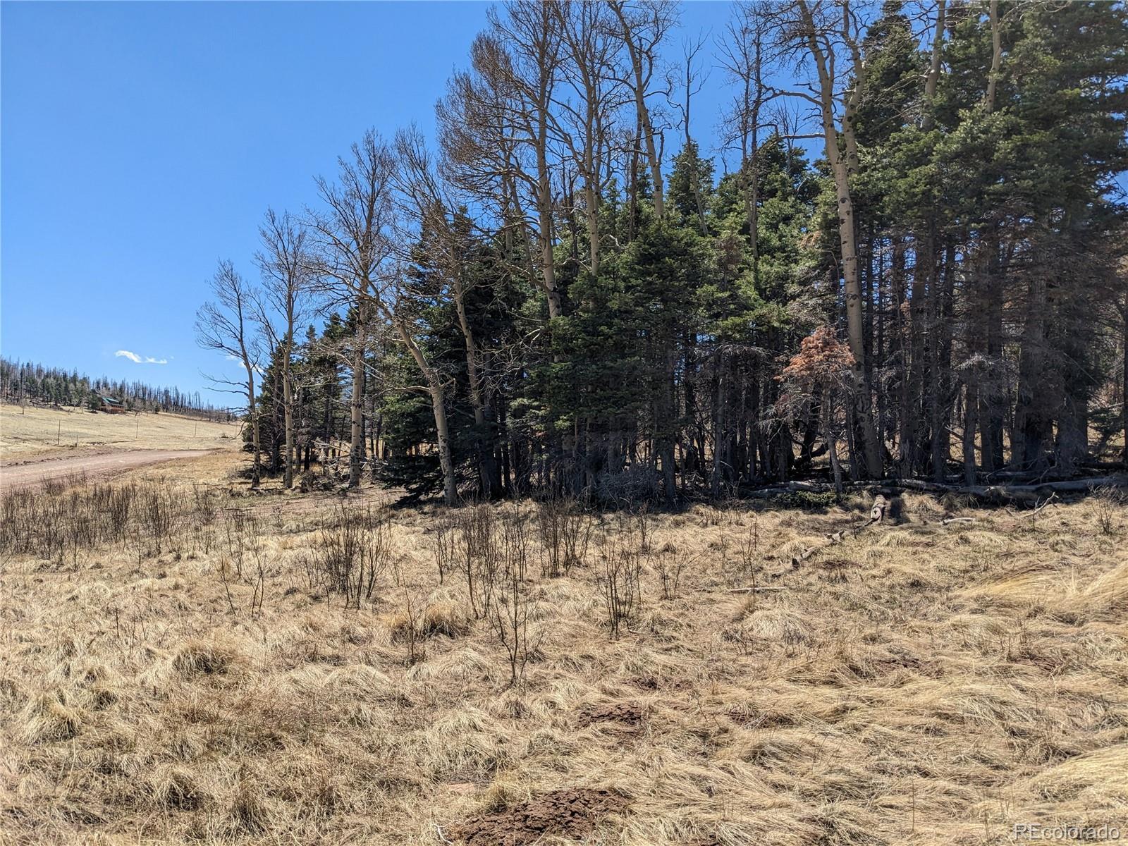 Photo of Listing #4644956