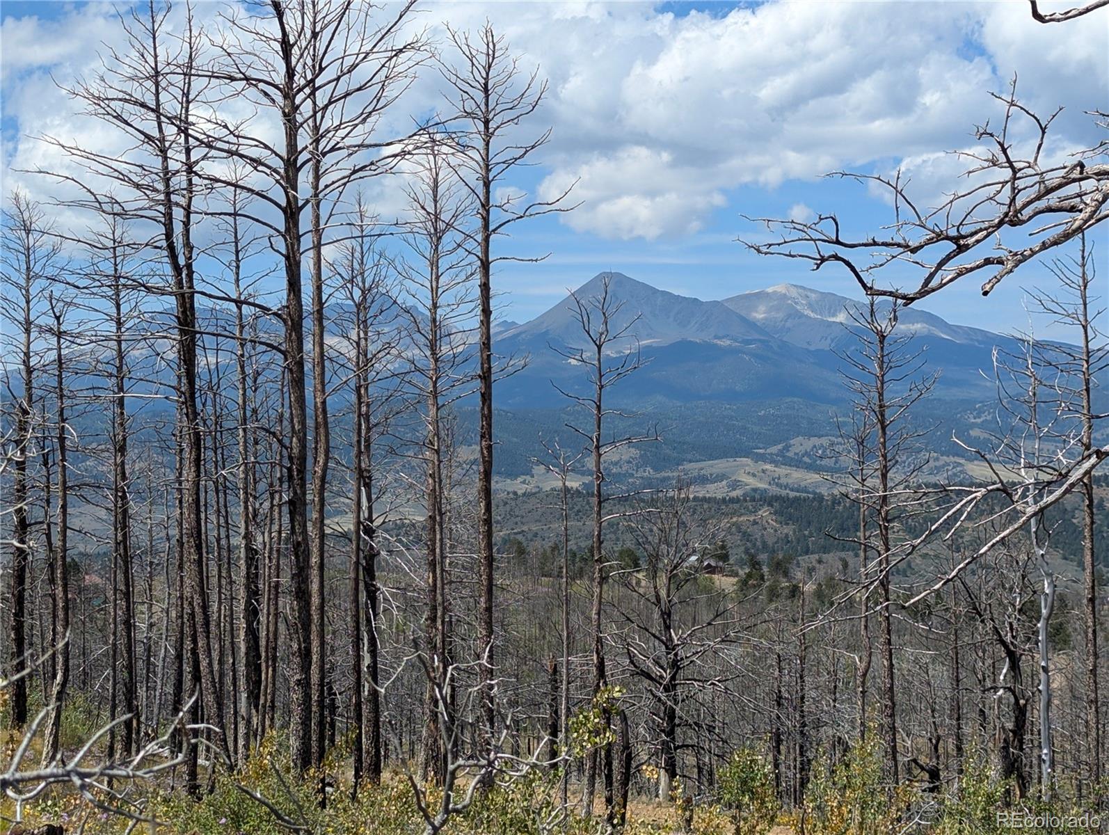 Photo of Listing #4740555