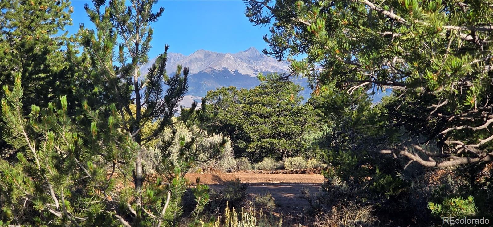 Photo of Listing #4765677