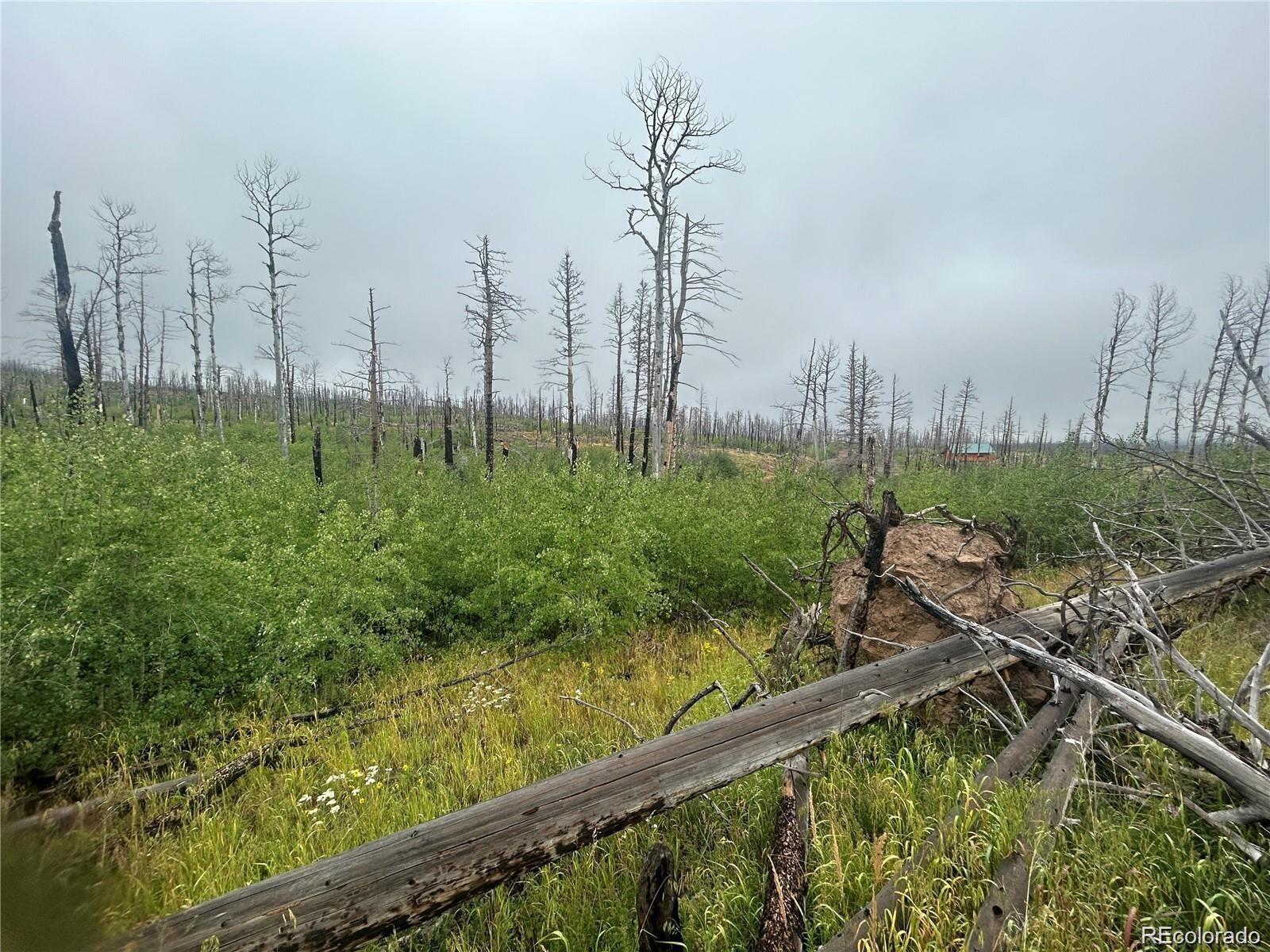 Photo of Listing #4803573