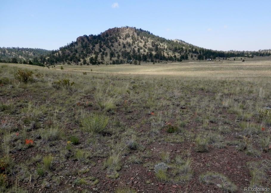 Photo of Listing #4876710