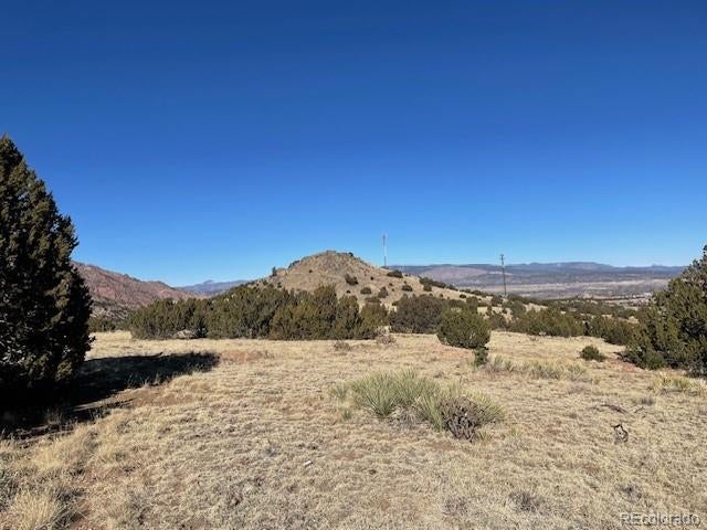 Photo of Listing #4910354