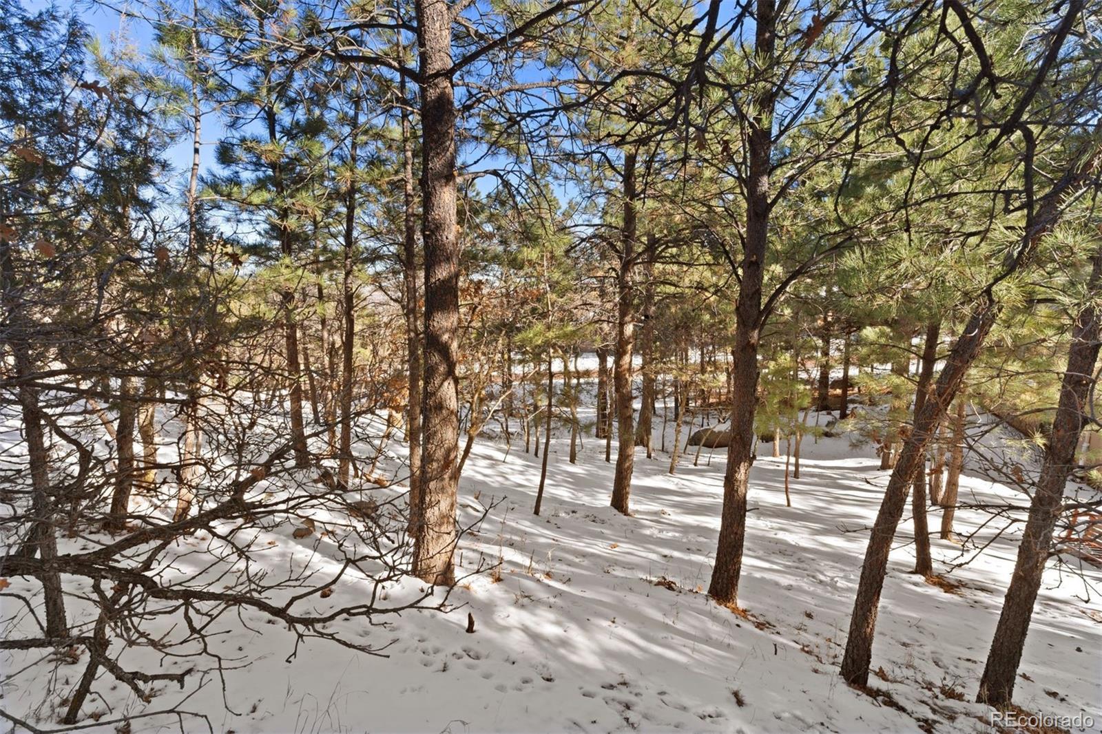 Photo of Listing #4945235